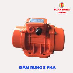 Đầm rung 3 pha MVE 100/3, mVE 200/3,MVE 300/3, MVE 500/3